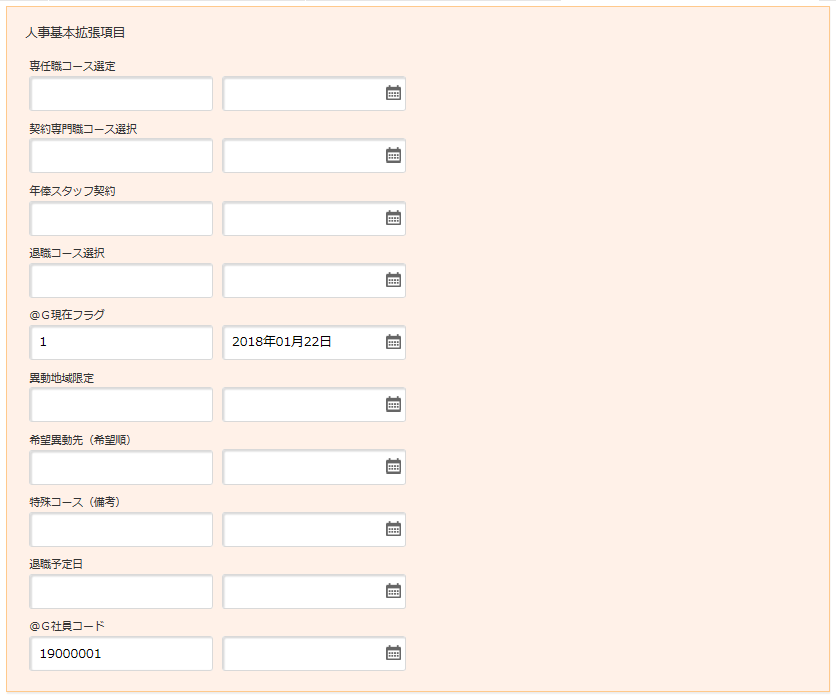 人事基本拡張項目画面